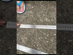 CPRI Bbu Odc-Dlc CPRI オプティカルファイバーパッチコード 密封されたダストキャップで防水