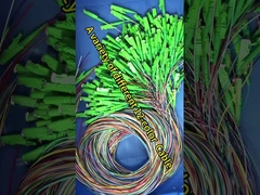 頑丈な12コア ローズチューブ Sc ファイバーピッグテール 0.9mm