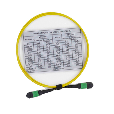 購入 女性OS2 9/125 MPO MTPケーブル12繊維の多重モードのパッチ・コード online manufacture