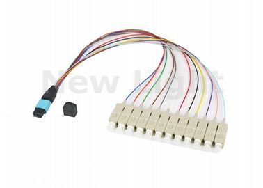 購入 記憶域のネットワーキング繊維チャネルのための多モードOM3 MPO MTPケーブル12の中心/24の中心 online manufacture