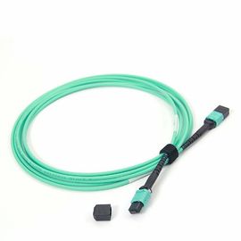 購入 女性MPO - MPO繊維のパッチ・コードOM4 50/125 24は多重モードの10ftの長さの芯を取ります online manufacture