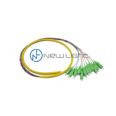 高性能マルチファイバーケーブルアセンブリのための堅固な12コアローズチューブSCファイバーピグテール0.9mm